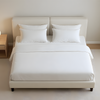 Dormia